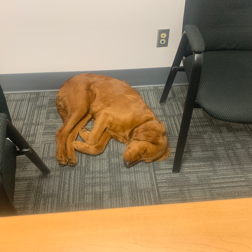 Insurance Agency «Bethany Hicks - State Farm Insurance Agent», reviews and photos