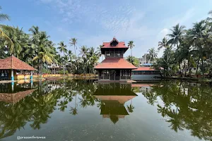 T D Temple Pond image