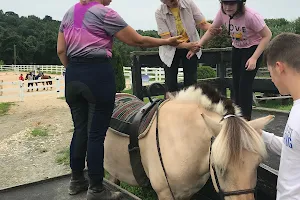 Freedom Hills Therapeutic Riding image