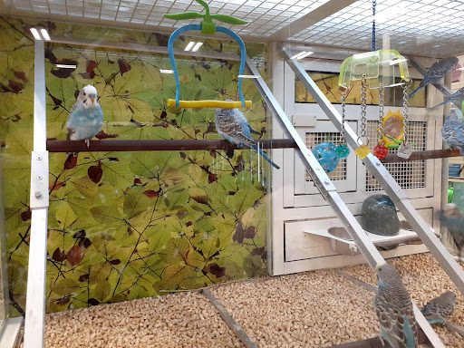 Pet Supply Store «PetSmart», reviews and photos, 4654 Milestone Ln, Castle Rock, CO 80104, USA