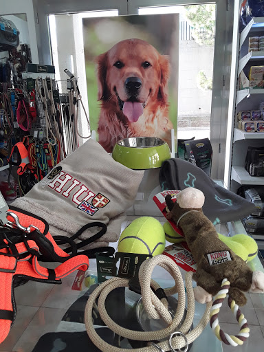 Pensioni per cani e dog hotel a Dog In - Pet Center