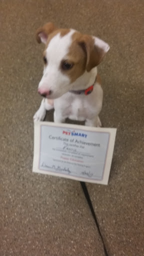 Pet Supply Store «PetSmart», reviews and photos, 9887 76th St, Pleasant Prairie, WI 53158, USA