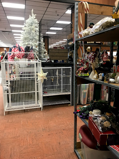 Thrift Store «SPCA of Northern Nevada Thrift Store», reviews and photos, 401 Vine St, Reno, NV 89503, USA