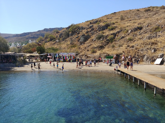 Camel beach II