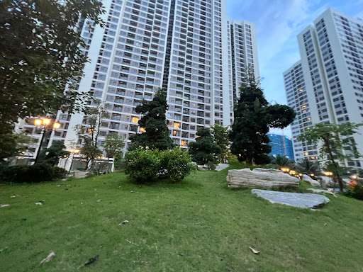 Top 20 apt cửa hàng Quận Hoàng Mai Hà Nội 2022