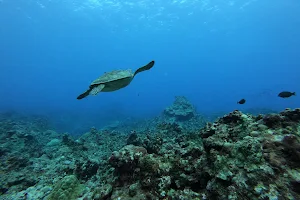 Lao Lao Dive Site image