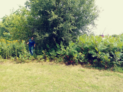 Park «French Regional Park», reviews and photos, 12605 Rockford Rd, Plymouth, MN 55441, USA