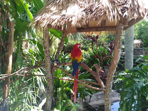 Zoo «St. Augustine Alligator Farm Zoological Park», reviews and photos, 999 Anastasia Blvd, St Augustine, FL 32080, USA