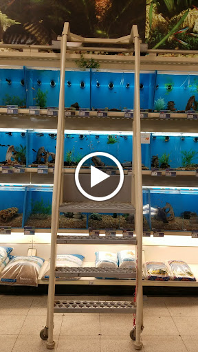 Pet Supply Store «PetSmart», reviews and photos, 3132 Vestal Pkwy E, Vestal, NY 13850, USA