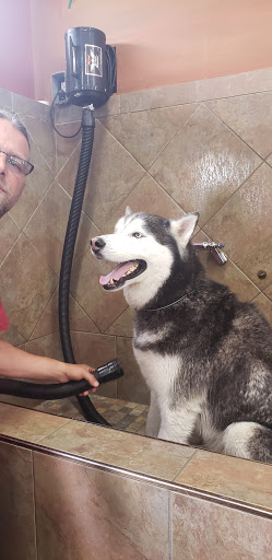 Pet Store «Pet Valu», reviews and photos, 225 Allwood Rd, Clifton, NJ 07012, USA