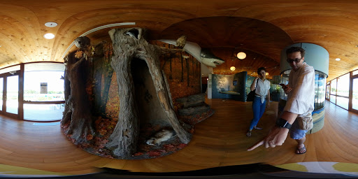 Natural History Museum «South Fork Natural History Museum & Nature Center», reviews and photos, 377 Bridgehampton-Sag Harbor Turnpike, Bridgehampton, NY 11932, USA