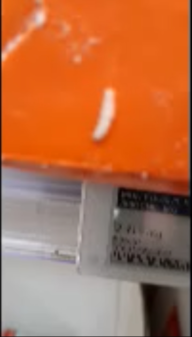 Photo n° 1 de l'avis de Alec.o fait le 25/09/2023 à 04:31