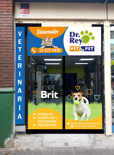 Opiniones de Veterinaria Dr Rey Vet & Pet en Metropolitana de Santiago - Médico