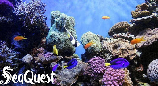 Aquarium «SeaQuest Interactive Aquarium Las Vegas», reviews and photos, 3528 S Maryland Pkwy #340, Las Vegas, NV 89169, USA