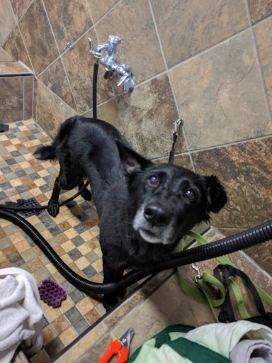 Pet Supply Store «Pet Valu», reviews and photos, 1539 S Pleasant Valley Rd, Winchester, VA 22601, USA