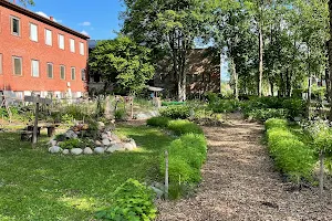 The Campus Garden - Uppsala University image