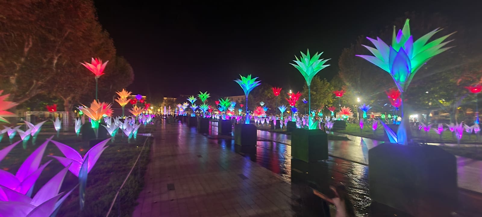 Photo n° 2 de l'avis de Fiona.u fait le 10/08/2023 à 22:49