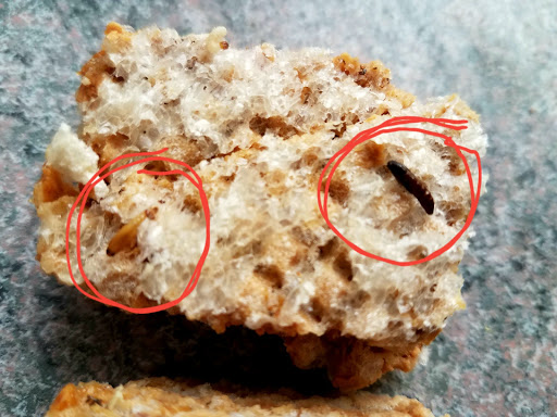 Supermarket «Baza Supermarket», reviews and photos, 30 Tower Rd, Newton Upper Falls, MA 02464, USA