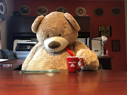 Insurance Agency «Anthony Raggi - State Farm Insurance Agent», reviews and photos