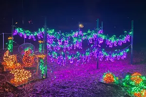 Garden d’Lights image