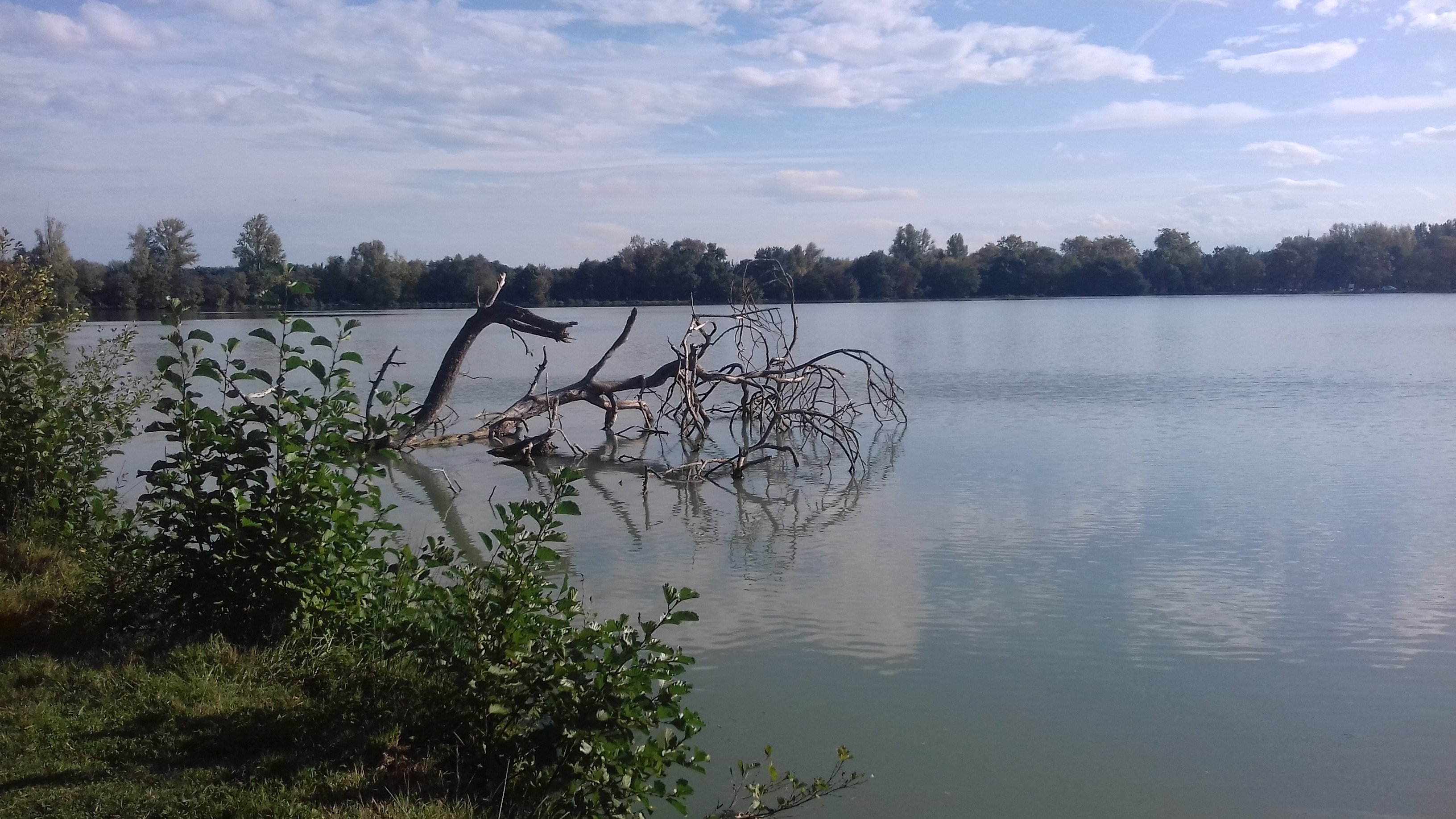Photo n° 1 de l'avis de R. fait le 19/10/2019 à 15:43