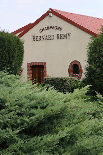 Champagne Bernard Remy à Allemant