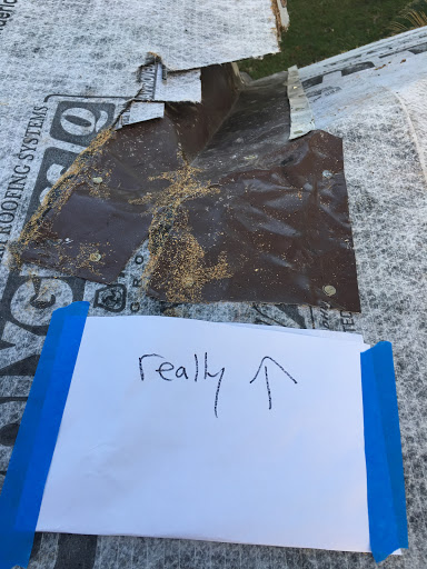 Roofing Contractor «Hippo Roofing LLC», reviews and photos, 1555 N Harbor City Blvd, Melbourne, FL 32935, USA