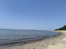 Presque Isle State Park Beach'in fotoğrafı çok temiz temizlik seviyesi ile