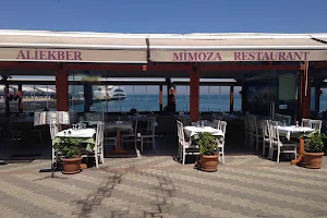 Mimoza Restaurant image