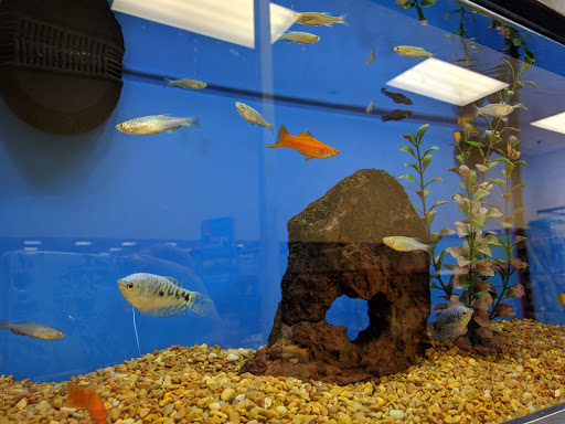 Pet Supply Store «Petco Animal Supplies», reviews and photos, 1591 Sloat Blvd, San Francisco, CA 94132, USA