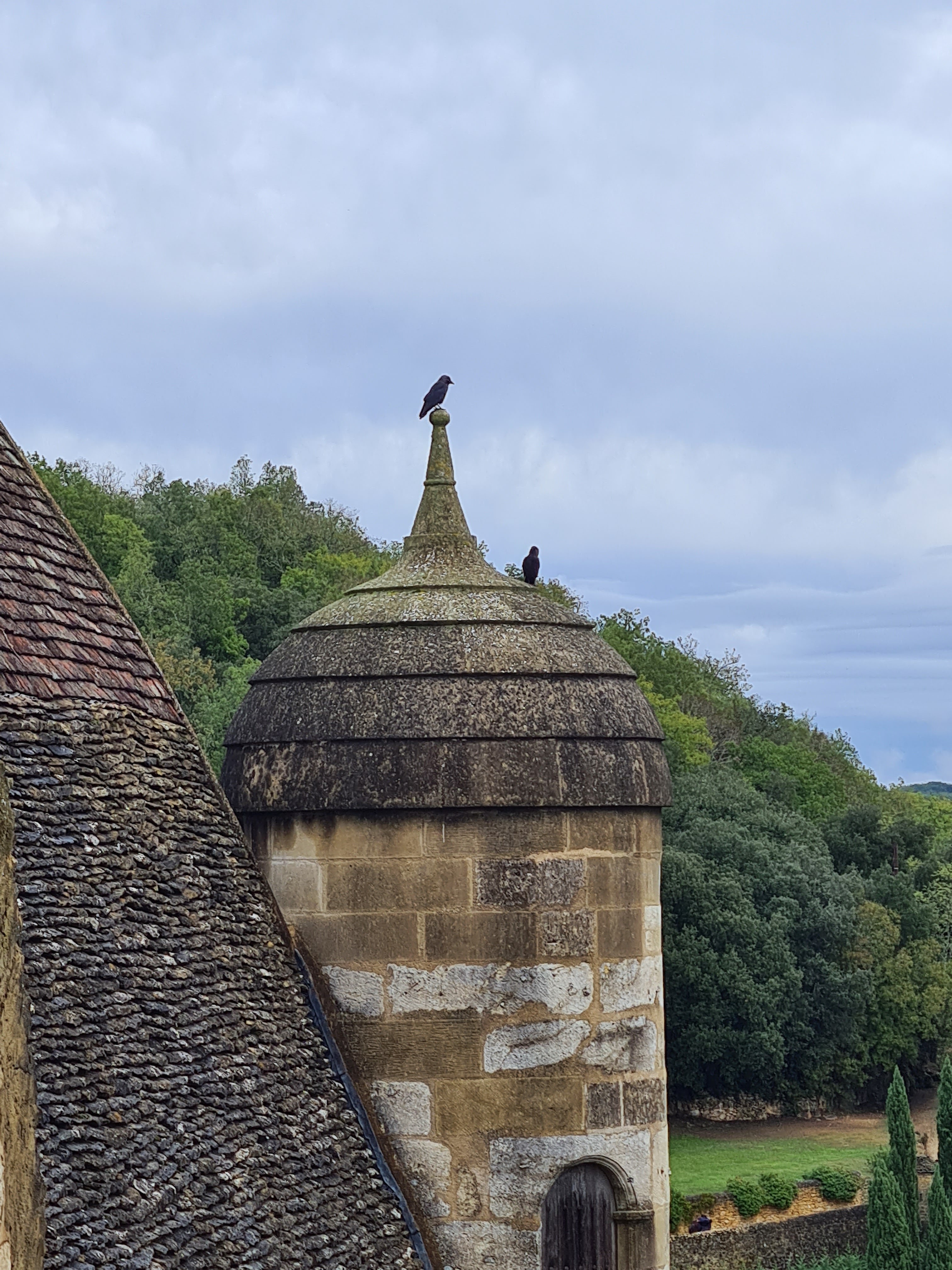 Photo n° 5 de l'avis de M. fait le 31/10/2023 à 22:07