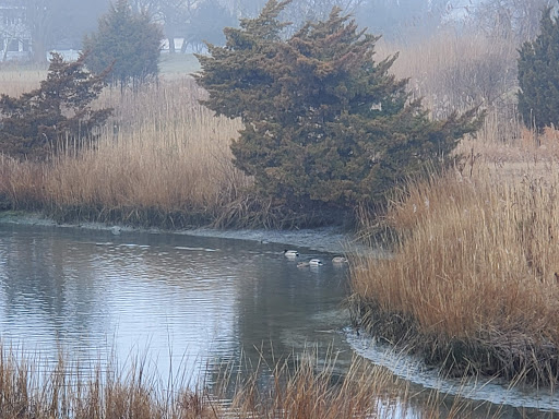 Public Golf Course «The Links at Brigantine Beach», reviews and photos, 1075 N Shore Dr, Brigantine, NJ 08203, USA