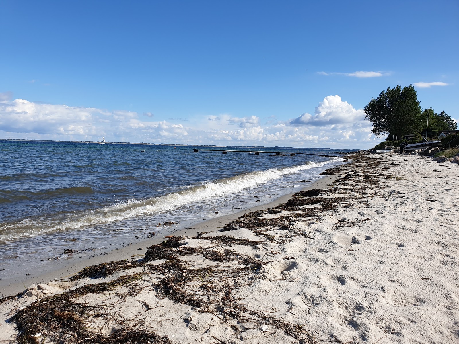 Foto av Elsehoved Beach med beige sand yta
