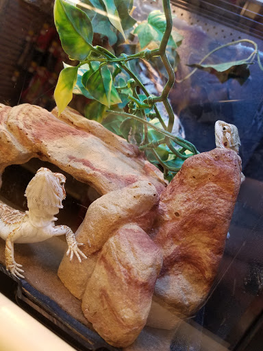 Pet Supply Store «PetSmart», reviews and photos, 2828 Campus Pkwy, Riverside, CA 92507, USA