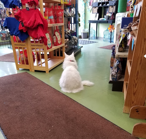 Pet Supply Store «Animal Krackers Inc», reviews and photos, 232 Main St, Gloucester, MA 01930, USA