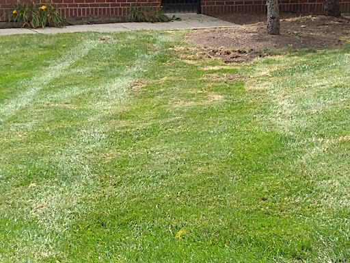 Golf Course «Cassel Hills Golf Course», reviews and photos, 201 Clubhouse Way, Vandalia, OH 45377, USA