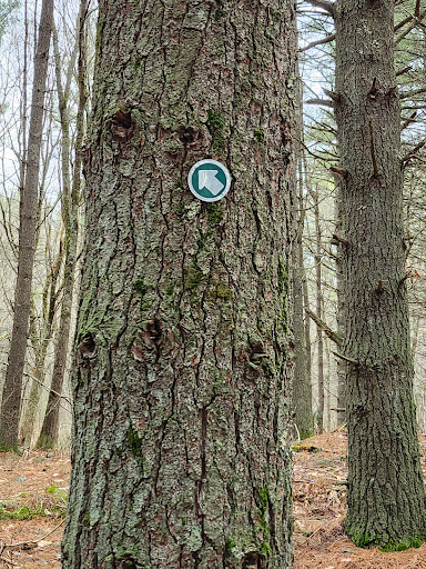 Woodchuck Trail
