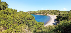Ilia's Bay'in fotoğrafı biraz temiz temizlik seviyesi ile