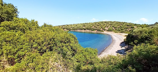 Ilia's Bay