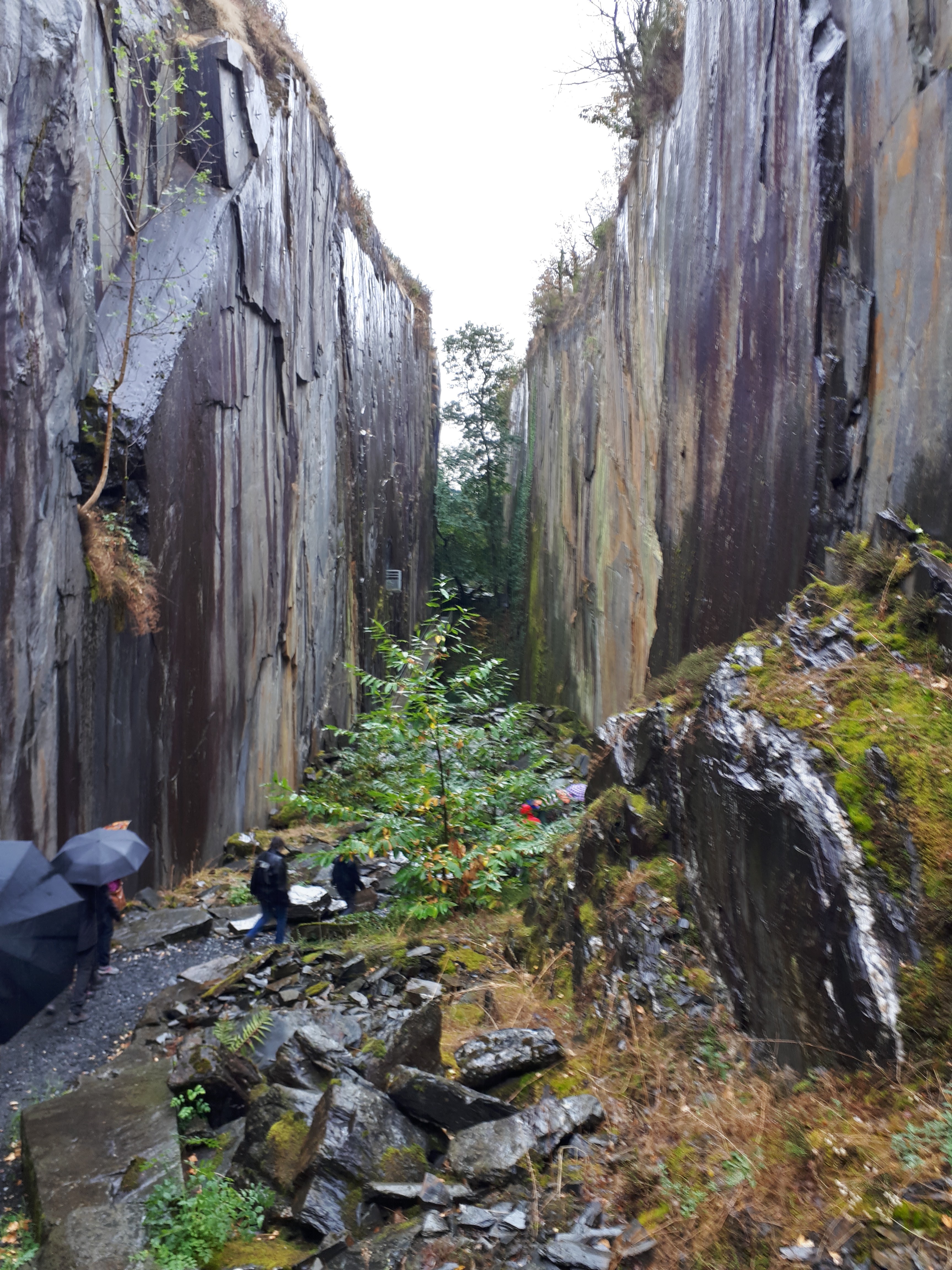 Photo n° 2 de l'avis de Jean-Philippe.E fait le 25/09/2019 à 12:20