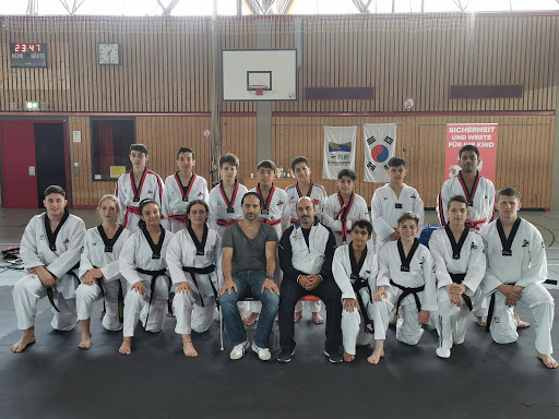 Taekwondo lessons Frankfurt