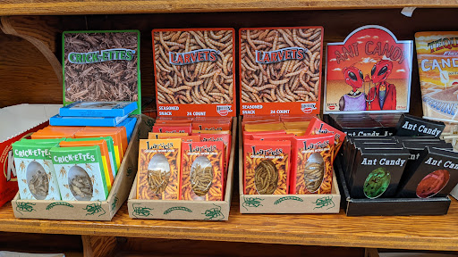 Gift Shop «Austin Gift Company», reviews and photos, 4211 S Lamar Blvd, Austin, TX 78704, USA