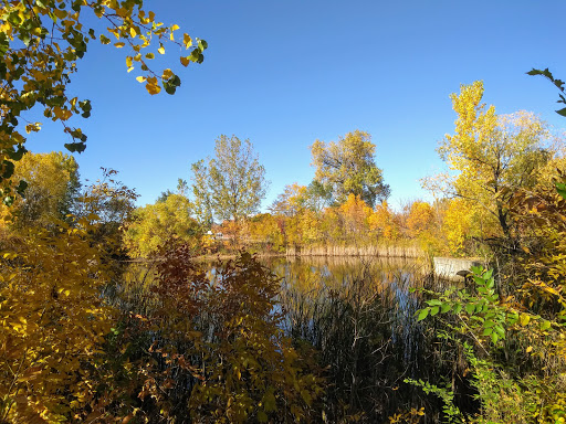 Park «Creekview Park», reviews and photos, 5001 Humboldt Ave N, Minneapolis, MN 55430, USA