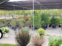 Heritage Landscape Design - Photo 5 - Car repair in Moline, IL, Davenport