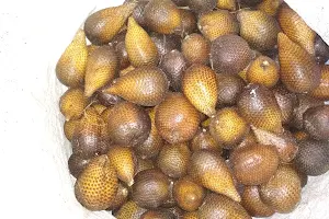Perkebunan jeruk Dasan Agung image