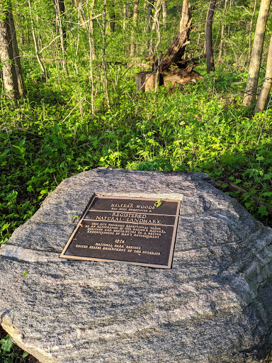 Nature Preserve «Meltzer Woods», reviews and photos, 1522 S 600 E, Shelbyville, IN 46176, USA