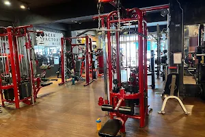 Muscle Factory 肌肉工廠 image