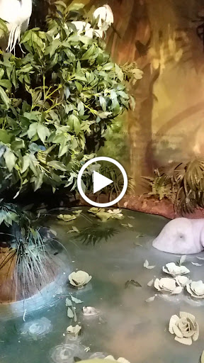 Historical Society «Orange County Regional History Center», reviews and photos, 65 E Central Blvd, Orlando, FL 32801, USA