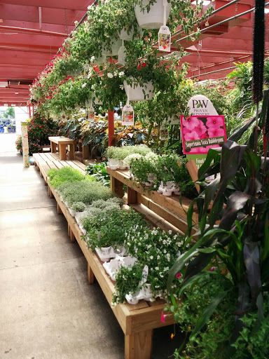 Garden Center «English Gardens», reviews and photos, 6370 Orchard Lake Rd, West Bloomfield Township, MI 48322, USA