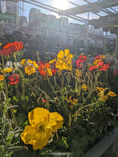 Garden Center at The Home Depot